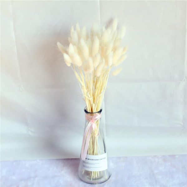 50pcs dried flower tail light purple natural plants floral grass bouquet home decoration accessories p
50pcs dried flower tail light purple natural plants floral grass bouquet home decoration accessories p