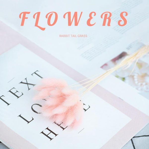 decorative flowers & wreaths 20pcs tail grass natural dried for home decoration flower arrangement long bunches bouquet props pre
decorative flowers & wreaths 20pcs tail grass natural dried for home decoration flower arrangement long bunches bouquet props pre