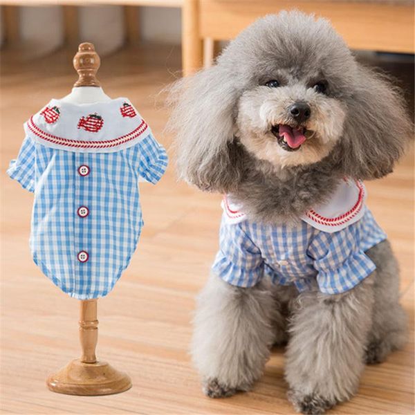 dog apparel summer cat shirt puppy clothes small clothing yorkie poodle bichon pomeranian schnauzer pet outfits red blue
dog apparel summer cat shirt puppy clothes small clothing yorkie poodle bichon pomeranian schnauzer pet outfits red blue