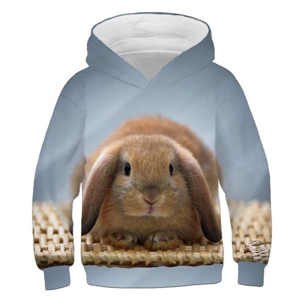 hoodies & sweatshirts children 4-14 years old cotton hoodie figure sweatshirt long sleeve kids clothes boy/girl cool cute top, Black
hoodies & sweatshirts children 4-14 years old cotton hoodie figure sweatshirt long sleeve kids clothes boy/girl cool cute top, Black