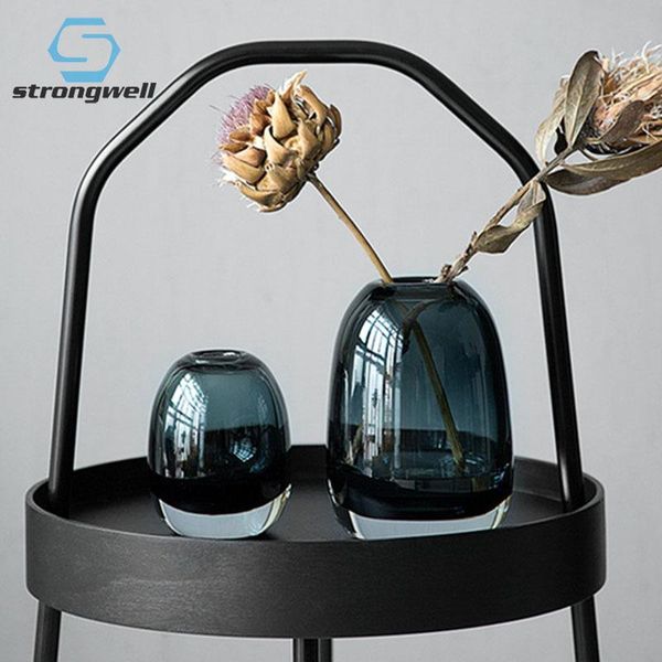 vases strongwell nordic thick transparent glass vase hydroponic flower deskcrafts home decoration wedding gift
vases strongwell nordic thick transparent glass vase hydroponic flower deskcrafts home decoration wedding gift