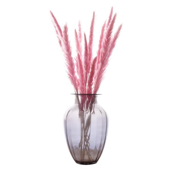 15pcs natura dried fowers sma pampas grass white/pink coor rabbit dog grass dry bouquet artificia wedding fowers decor
15pcs natura dried fowers sma pampas grass white/pink coor rabbit dog grass dry bouquet artificia wedding fowers decor