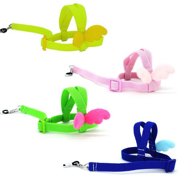 other bird supplies 2m anti bite flying training rope parrot leash ultralight harnesses band
other bird supplies 2m anti bite flying training rope parrot leash ultralight harnesses band