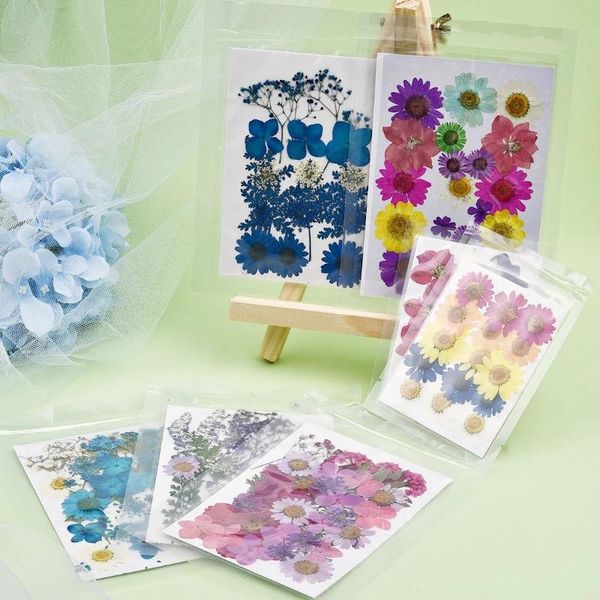 decorative flowers & wreaths 1 bag dried flower natural dry plants for candle epoxy resin pendant necklace jewelry making craft diy accessor
decorative flowers & wreaths 1 bag dried flower natural dry plants for candle epoxy resin pendant necklace jewelry making craft diy accessor