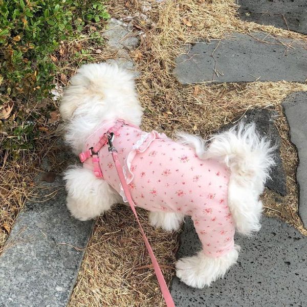dog apparel stretch jumpsuit pajamas puppy small costume pyjama yorkshire pomeranian maltese bichon poodle schnauzer clothing outfit
dog apparel stretch jumpsuit pajamas puppy small costume pyjama yorkshire pomeranian maltese bichon poodle schnauzer clothing outfit