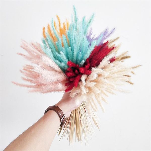 decorative flowers & wreaths 50pcs/lot artificial flower dog's tail grass natural dried bouquet gradients home  wedding  birthday  real
decorative flowers & wreaths 50pcs/lot artificial flower dog's tail grass natural dried bouquet gradients home  wedding  birthday  real