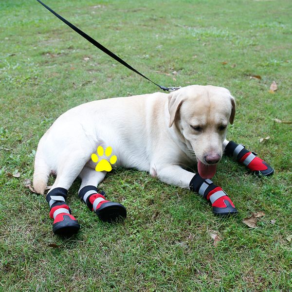 waterproof winter dog boots reflective pet snow boot shoes for small and large dogs 329 r2
waterproof winter dog boots reflective pet snow boot shoes for small and large dogs 329 r2