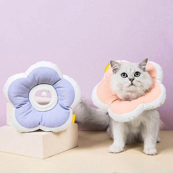 cat collars & leads flower shape design anti-bite anti-licking neck ring dog protective circle collar for kitten puppy pet supply accessorie
cat collars & leads flower shape design anti-bite anti-licking neck ring dog protective circle collar for kitten puppy pet supply accessorie
