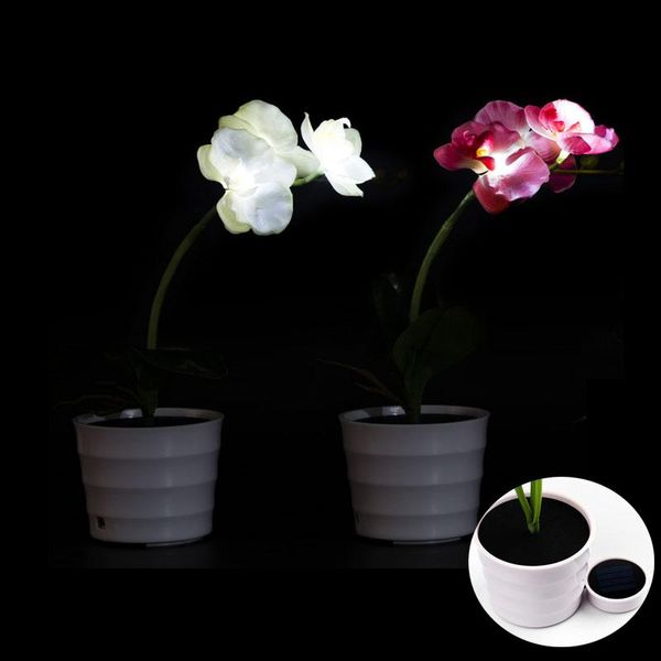 solar lamps power flower light butterfly shape with led mood lighting decorative lights potted lamp night for home garden
solar lamps power flower light butterfly shape with led mood lighting decorative lights potted lamp night for home garden