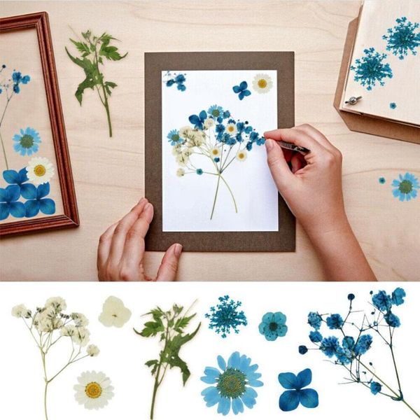 gift wrap 1pc natural dried flowers pressed flower diy material stickers for face decoration jewelry making nail art epoxy embossing
gift wrap 1pc natural dried flowers pressed flower diy material stickers for face decoration jewelry making nail art epoxy embossing