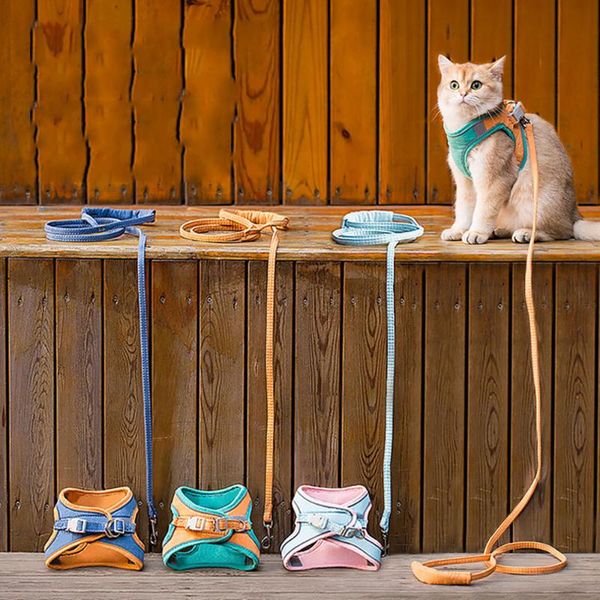 cat collars & leads fashion dog harness vest cute adjustable kitten and leash set reflective pet chest strap collar for puppy small dogs
cat collars & leads fashion dog harness vest cute adjustable kitten and leash set reflective pet chest strap collar for puppy small dogs
