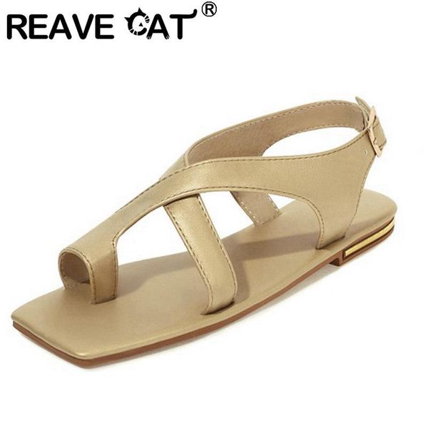 sandals reave cat 2021 women clip toe flat simple concise non-slip classic big size 34-43 casual summer black a3856
sandals reave cat 2021 women clip toe flat simple concise non-slip classic big size 34-43 casual summer black a3856