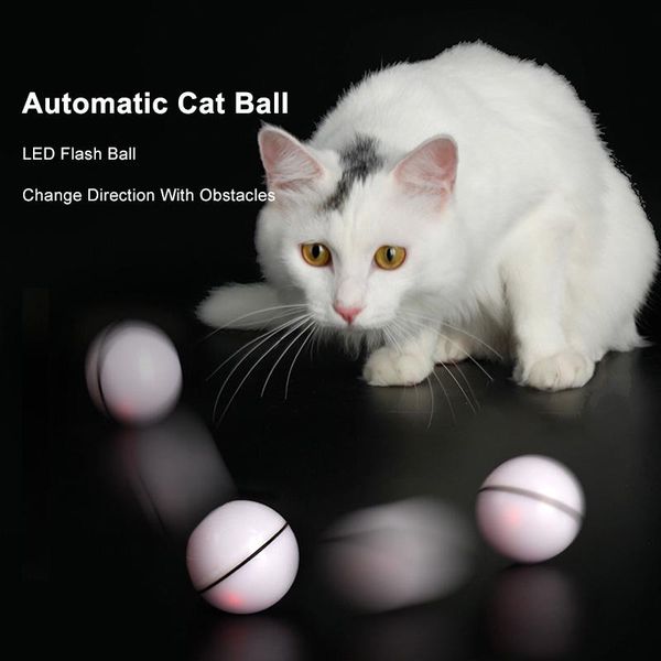 cat toys catch me ball toy gatos juguetes para pet interactive kitten electric automatic teaser usb led 360 degree self rotating
cat toys catch me ball toy gatos juguetes para pet interactive kitten electric automatic teaser usb led 360 degree self rotating