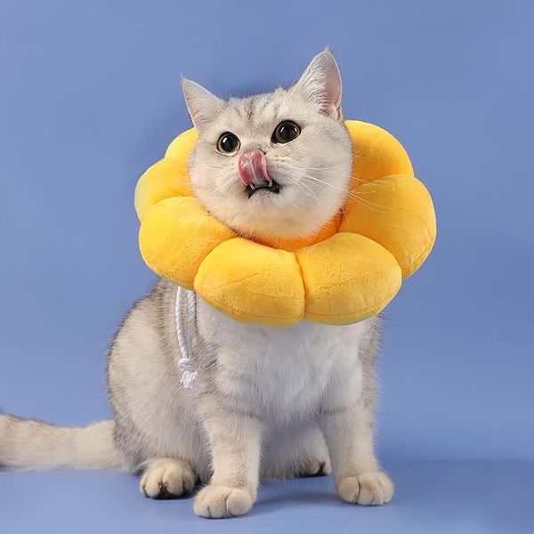 2021 new pet cat elizabeth collar sunflower anti licking anti biting collar protective multifunctional adjustable
2021 new pet cat elizabeth collar sunflower anti licking anti biting collar protective multifunctional adjustable