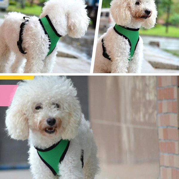 dog collars & leashes breathable mesh small pet harness professional chest straps cat puppy vest green red blue for chihuahua yorkie
dog collars & leashes breathable mesh small pet harness professional chest straps cat puppy vest green red blue for chihuahua yorkie