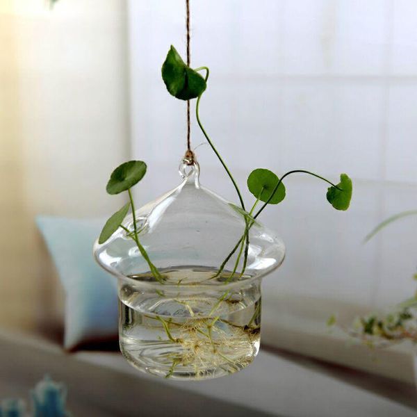 vases 2021 arrivals hanging glass multi-shaped creative flowers plant vase bottle terrarium container for home garden decors
vases 2021 arrivals hanging glass multi-shaped creative flowers plant vase bottle terrarium container for home garden decors