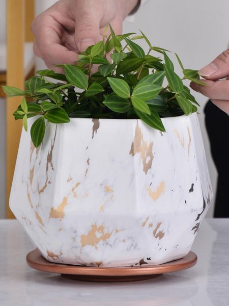 nordic marble square ceramic flower pot indoor chlorophytum green radish succulent breathable flower pot clearance
nordic marble square ceramic flower pot indoor chlorophytum green radish succulent breathable flower pot clearance