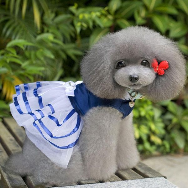 dog apparel 2021 stripes mesh summer skirt clothes for small dogs dress sweety princess spring puppy lace pet
dog apparel 2021 stripes mesh summer skirt clothes for small dogs dress sweety princess spring puppy lace pet