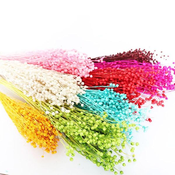 40-50g,dry flowers natural dried beads flower bouquet,eternal real plant for wedding party home decoration table accessories
40-50g,dry flowers natural dried beads flower bouquet,eternal real plant for wedding party home decoration table accessories
