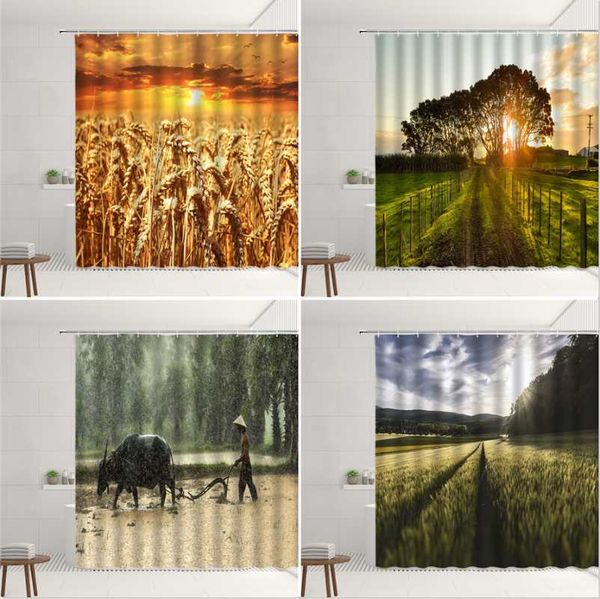 shower curtains autumn farm curtain set golden wheat field terraces farming cattle green plants forest home bathroom bathtub decor screen
shower curtains autumn farm curtain set golden wheat field terraces farming cattle green plants forest home bathroom bathtub decor screen