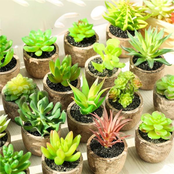 artificial succulents bonsai mini fake plants with pot faux fat plants greenery garden decoration plastic plant retro grey vase
artificial succulents bonsai mini fake plants with pot faux fat plants greenery garden decoration plastic plant retro grey vase