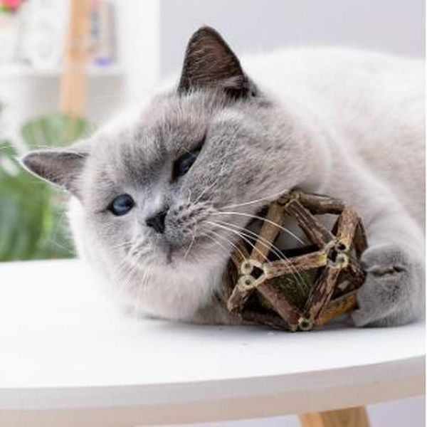 cat toys catnip toy funny beneficial pet interactive nip ball safety healthy products clean teeth mj81801
cat toys catnip toy funny beneficial pet interactive nip ball safety healthy products clean teeth mj81801