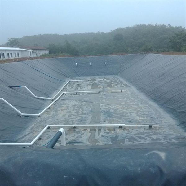 newst black fish pond liner cloth home garden pool reinforced hdpe heavy landscaping pool pond waterproof liner cloth
newst black fish pond liner cloth home garden pool reinforced hdpe heavy landscaping pool pond waterproof liner cloth