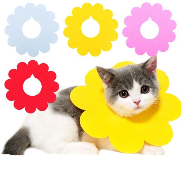 dog collars & leashes 5pcs cat elizabeth ring pet anti-bite anti-smashing sun flower saliva towel felt cloth collar supplies puppy
dog collars & leashes 5pcs cat elizabeth ring pet anti-bite anti-smashing sun flower saliva towel felt cloth collar supplies puppy