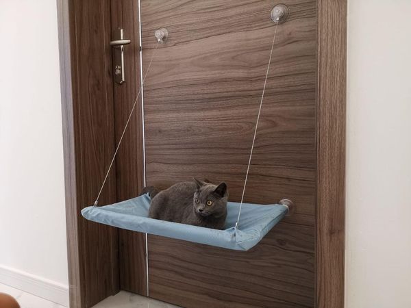 cat beds & furniture window perch hammock seat for indoor cats resting safety, heavy duty suction cups breathable washable
cat beds & furniture window perch hammock seat for indoor cats resting safety, heavy duty suction cups breathable washable