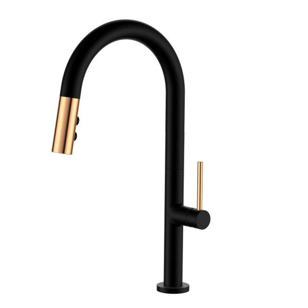 kitchen faucets swiveled spout single lever sink pull out mixer faucet
kitchen faucets swiveled spout single lever sink pull out mixer faucet
