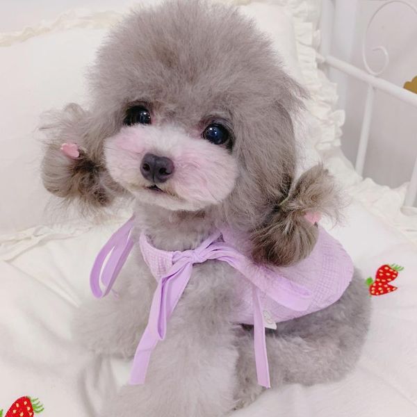 pet costume dog dress summer puppy skirt cat chihuahua yorkshire clothing poodle bichon pomeranian maltese dog apparel dropship
pet costume dog dress summer puppy skirt cat chihuahua yorkshire clothing poodle bichon pomeranian maltese dog apparel dropship