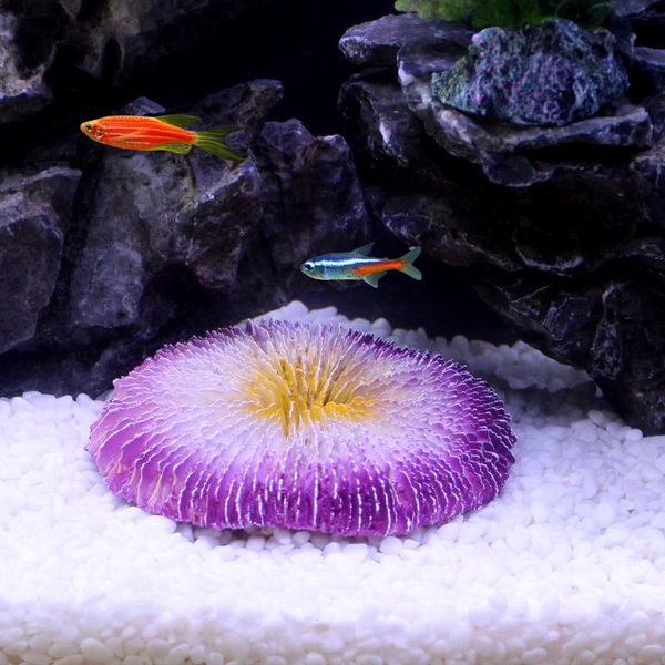 decorations resin artificial round coral aquarium decoration stone fish tank reef ornament rock plant background
decorations resin artificial round coral aquarium decoration stone fish tank reef ornament rock plant background