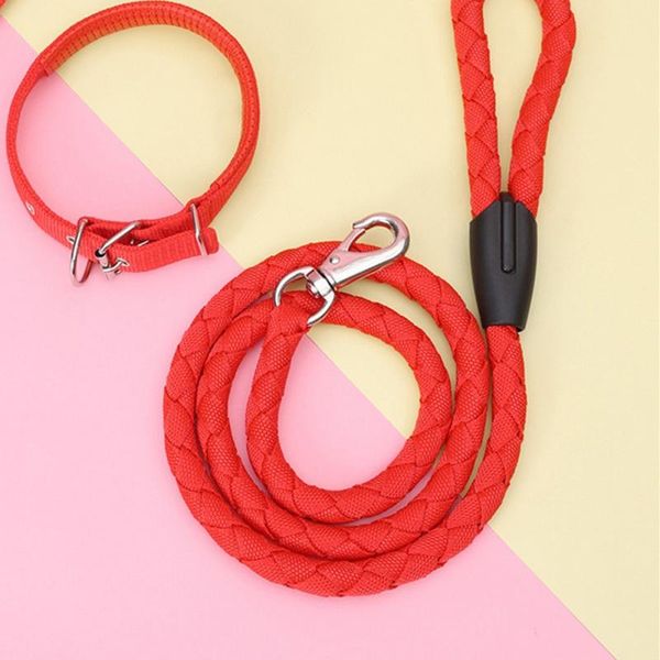 dog collars & leashes pets out for walking the adjustable chest harness traction rope set combination
dog collars & leashes pets out for walking the adjustable chest harness traction rope set combination