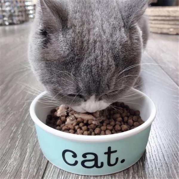 ceramic pet bowl cat puppy feeding supplies double pet bowls dog water feeder dog accessories durable blue color option
ceramic pet bowl cat puppy feeding supplies double pet bowls dog water feeder dog accessories durable blue color option