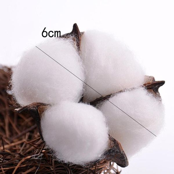 5pcs/set natural dried flower cotton head dried flower supplies for wedding wreaths diy decor head home artificial single f l3g9
5pcs/set natural dried flower cotton head dried flower supplies for wedding wreaths diy decor head home artificial single f l3g9