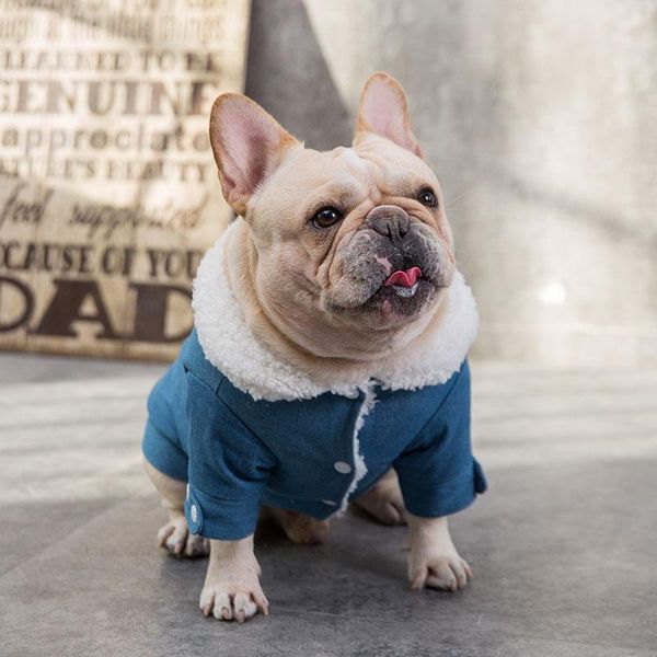 cat costumes warm clothes pet dog vest jacket suit for cold weather down parkas costume ubranko dla kota products jj60mj
cat costumes warm clothes pet dog vest jacket suit for cold weather down parkas costume ubranko dla kota products jj60mj