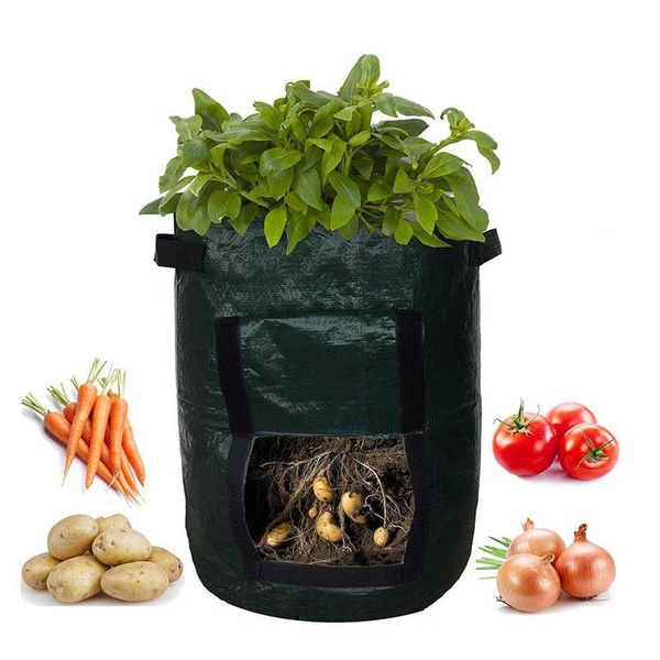 planters & pots pe potato planting bag sweet growing pot tomato vegetable plant pocket grow seed cultivate handle
planters & pots pe potato planting bag sweet growing pot tomato vegetable plant pocket grow seed cultivate handle