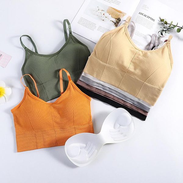 women sports bras seamless breathable wirepadded running bra athletic sports bra workout running fitness yoga, White;black
women sports bras seamless breathable wirepadded running bra athletic sports bra workout running fitness yoga, White;black