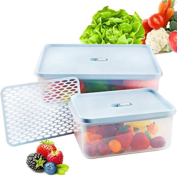 storage bottles & jars lettuce keeper for fridge fruit containers er stackable produce saver food container with lid
storage bottles & jars lettuce keeper for fridge fruit containers er stackable produce saver food container with lid