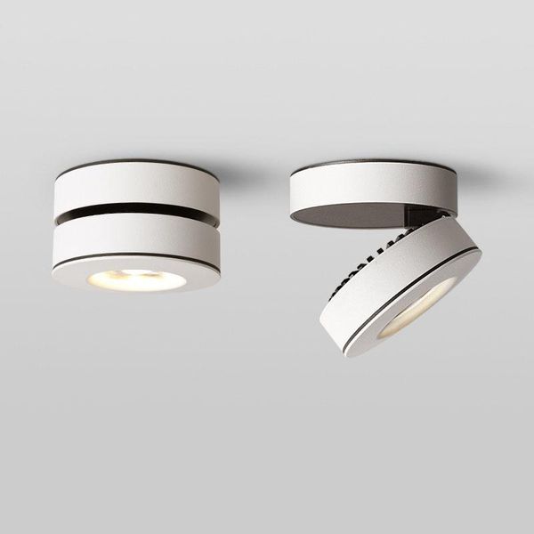 ceiling lights dimmable rotating led downlight 10w12w15w18w cob surface mounted spot light ac110-220v lamp indoor lighting
ceiling lights dimmable rotating led downlight 10w12w15w18w cob surface mounted spot light ac110-220v lamp indoor lighting