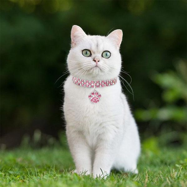 dog collars & leashes leather personalized pet cat with rhinestone letters puppy collar 
dog collars & leashes leather personalized pet cat with rhinestone letters puppy collar