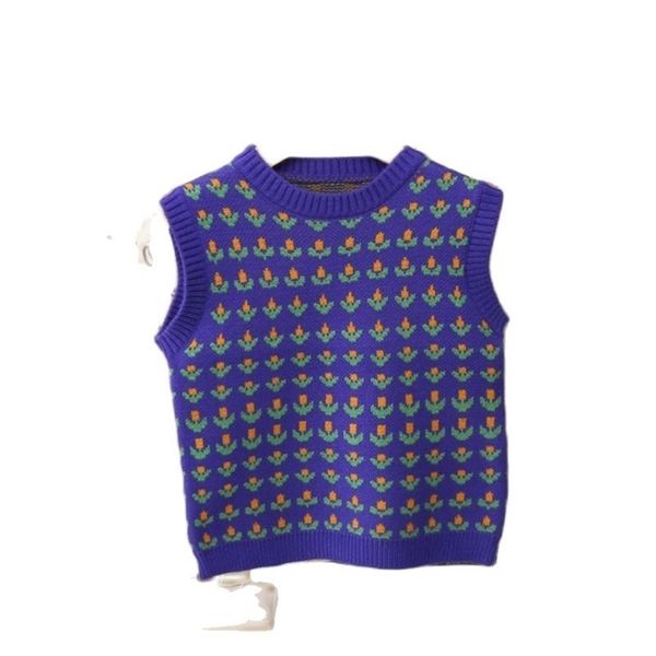 baby girl girls sweater vest spring and autumn korean children's clothing western style thin section p4459 210622, Blue
baby girl girls sweater vest spring and autumn korean children's clothing western style thin section p4459 210622, Blue