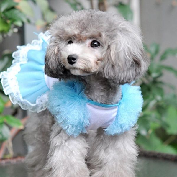 dog apparel puppy dress cat tutu skirt puff sleeves evening dresses for small dogs chihuahua soild color costumes
dog apparel puppy dress cat tutu skirt puff sleeves evening dresses for small dogs chihuahua soild color costumes