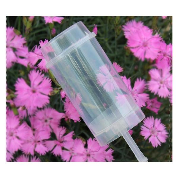 wholesale 1000pcs new sale push up pop containers new plastic push up pop cake containers lids shooters weddi jlljgd xmh_home
wholesale 1000pcs new sale push up pop containers new plastic push up pop cake containers lids shooters weddi jlljgd xmh_home
