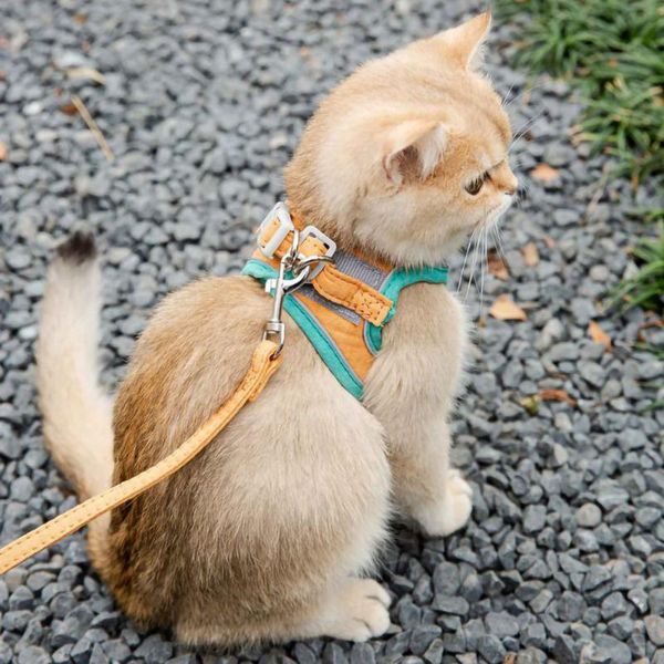 cat collars & leads adjustable traction chest back walking rope pet dog reflective strap leashing vest harness
cat collars & leads adjustable traction chest back walking rope pet dog reflective strap leashing vest harness