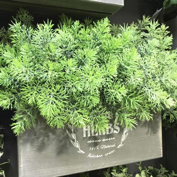 6pcs artificial coral grass home decoration diy christmas wreath fake pine green plants bunch
6pcs artificial coral grass home decoration diy christmas wreath fake pine green plants bunch