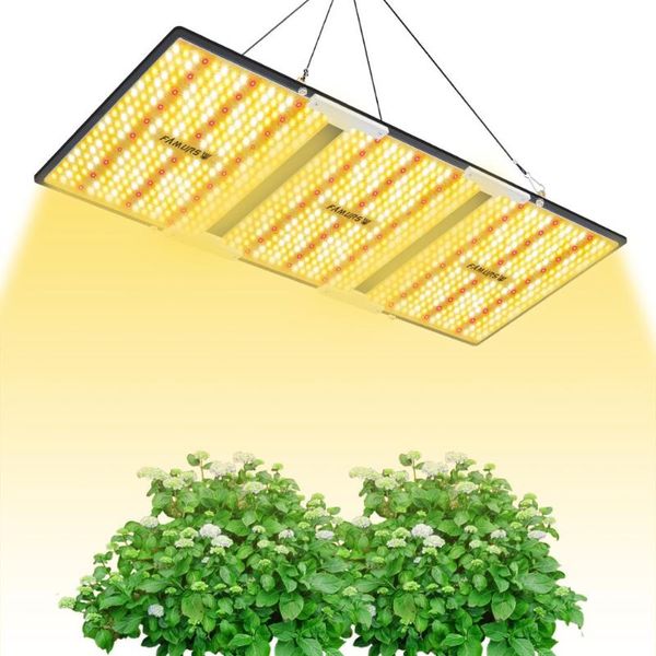 famurs led grow light full spectrum quantum board 3000w plant light lamp for indoor plants greenhouse grow tent
famurs led grow light full spectrum quantum board 3000w plant light lamp for indoor plants greenhouse grow tent