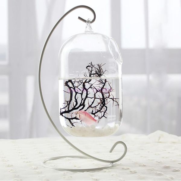 party favor 50pcs 32cm 23cm hanging glass flowers plant vase stand holder terrarium micro ecological landscape flower bottle rack hook
party favor 50pcs 32cm 23cm hanging glass flowers plant vase stand holder terrarium micro ecological landscape flower bottle rack hook