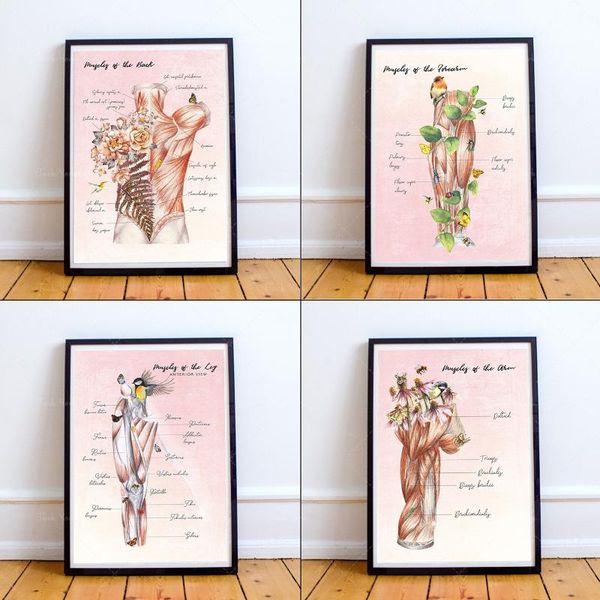 paintings gift for massage therapist floral anatomy room art muscular system posters therapy prints naturopathic offi
paintings gift for massage therapist floral anatomy room art muscular system posters therapy prints naturopathic offi