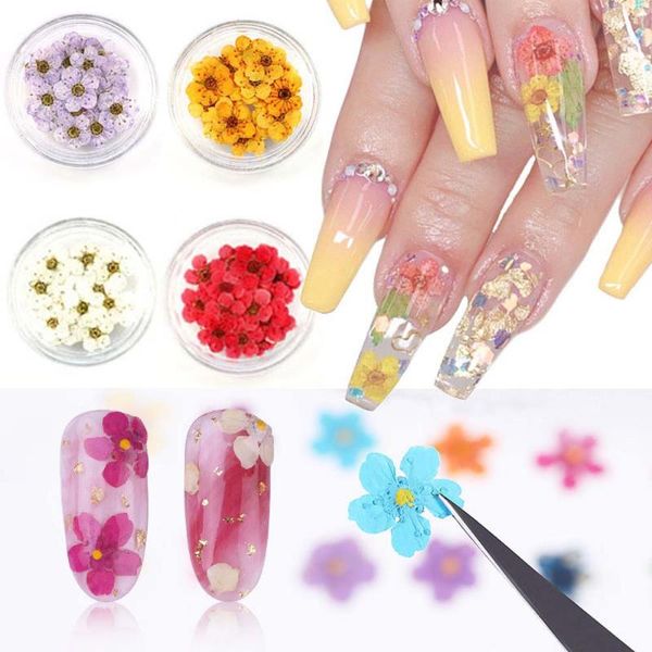nail art decorations 1 box 11 colors 3d natural dried flowers decoration floral diy sticker beauty jewelry tips colorful ornaments, Silver;gold
nail art decorations 1 box 11 colors 3d natural dried flowers decoration floral diy sticker beauty jewelry tips colorful ornaments, Silver;gold